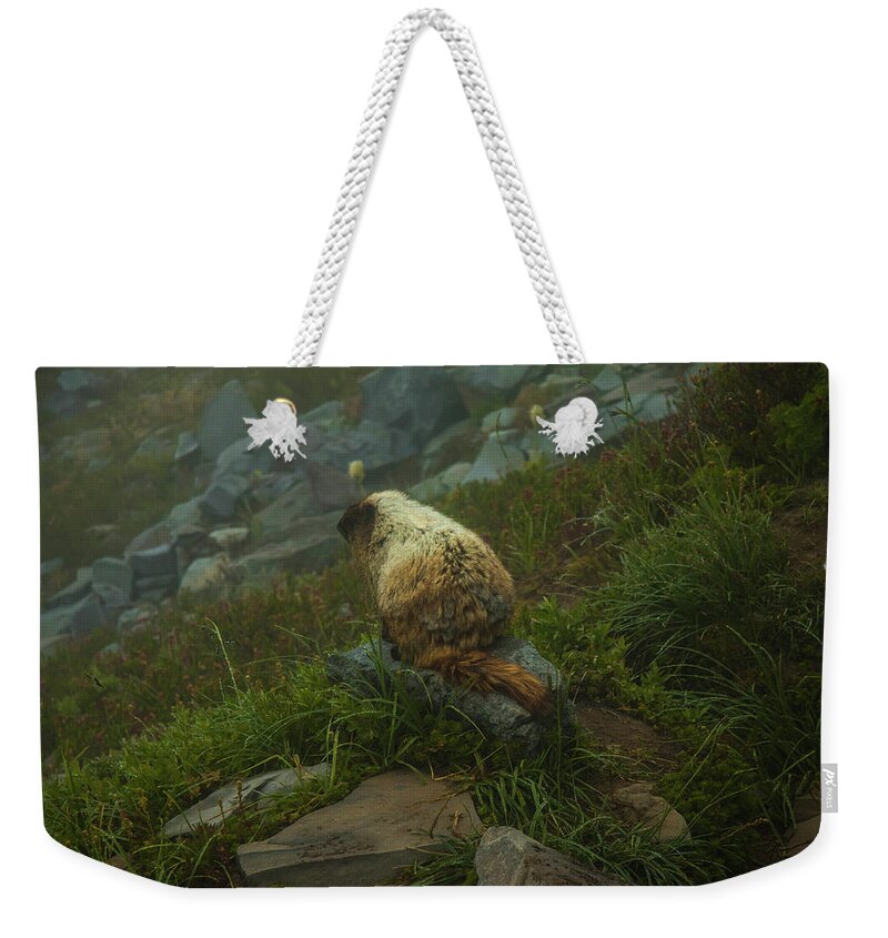 Mount Rainier Weekender Tote Bag featuring the photograph On Lookout by Doug Scrima