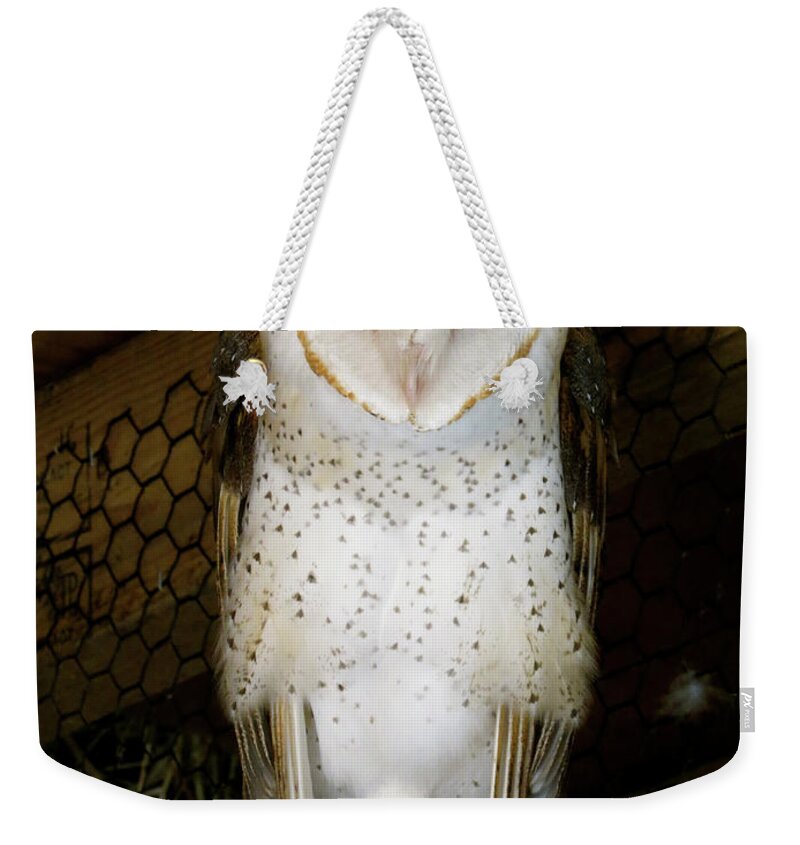 Owl Weekender Tote Bag featuring the photograph On one leg by Azthet Photography