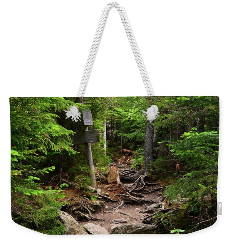 Mountains Weekender Tote Bag featuring the photograph On The Appalachain Trail by Harry Moulton