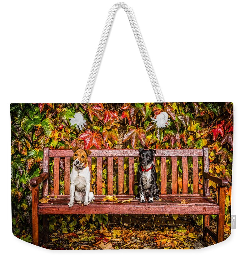 Dog Weekender Tote Bag featuring the photograph On the Bench by Nick Bywater