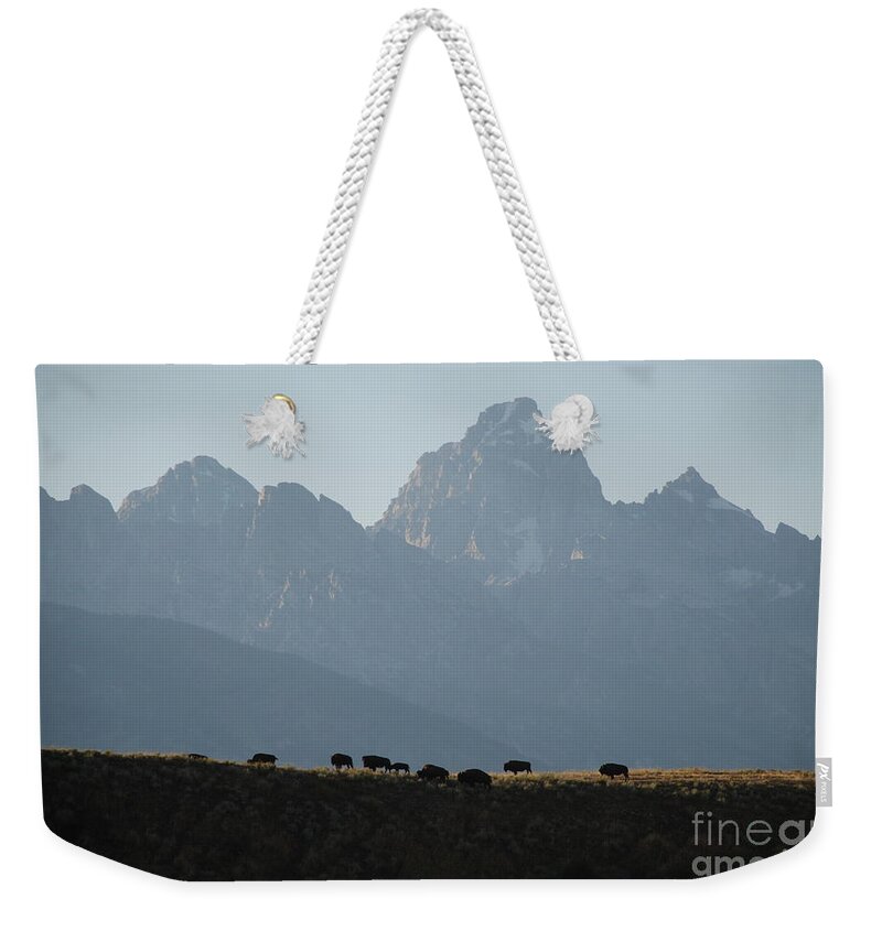 Buffalo Weekender Tote Bag featuring the photograph On the Ridge by Jim Goodman