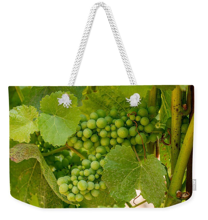Grapes Weekender Tote Bag featuring the photograph On the Vine by Derek Dean