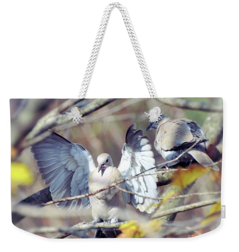 Dove Weekender Tote Bag featuring the photograph On The Wings of A Dove by Kerri Farley