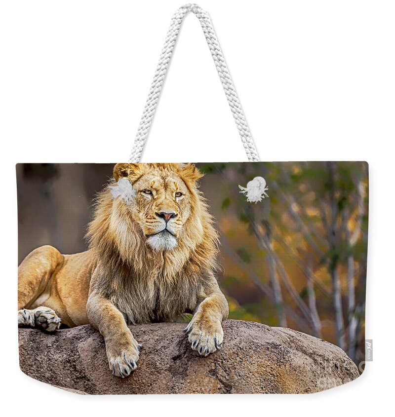 Lion Weekender Tote Bag featuring the photograph Once upon a time by David Millenheft