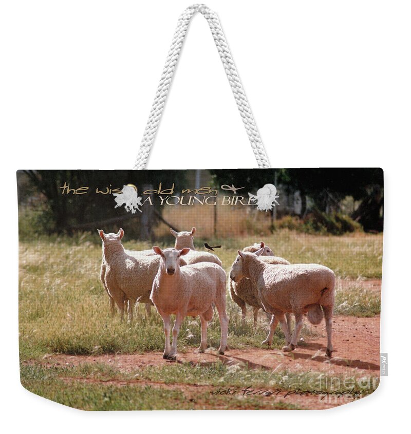 Vicki Ferrari Photography Weekender Tote Bag featuring the photograph One Bird and Three Wise Old Men by Vicki Ferrari