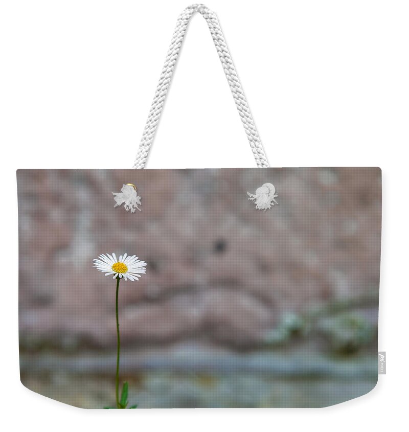 Nature Weekender Tote Bag featuring the photograph One Daisy by Jonathan Nguyen