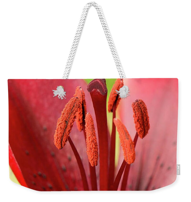 Red Weekender Tote Bag featuring the photograph One flower wish for prosperity. by Elena Perelman