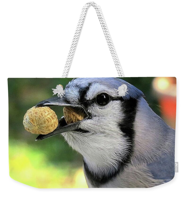 Blue Jay Weekender Tote Bag featuring the photograph One for the Road by Linda Stern