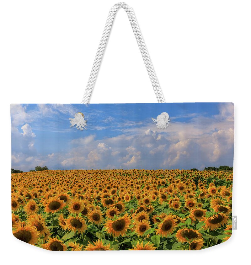 Personality Weekender Tote Bag featuring the photograph One in a Million by Rob Davies