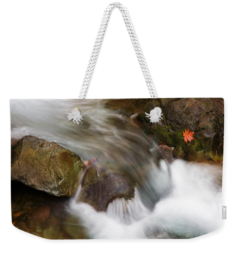 Washington Weekender Tote Bag featuring the photograph One Left by Michael Dawson