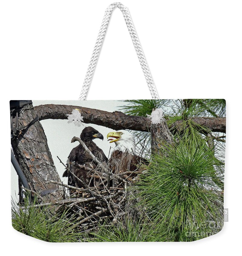 Eagles Weekender Tote Bag featuring the photograph one of the Twins looking at mom by Liz Grindstaff