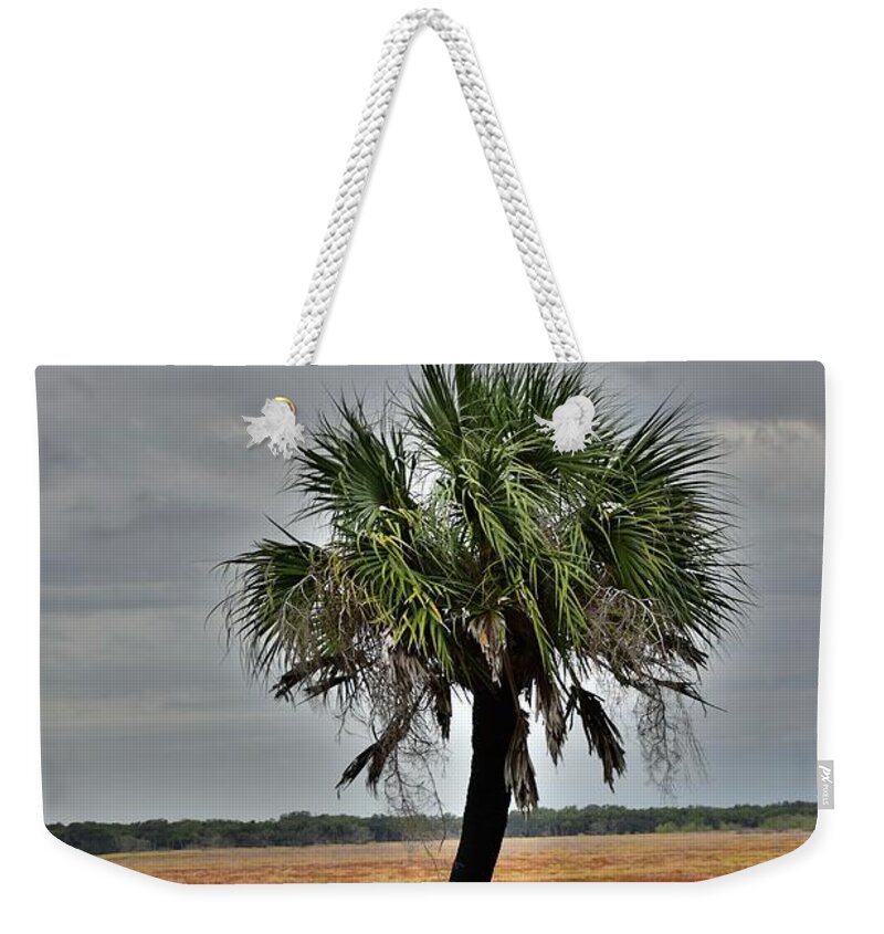 Park Weekender Tote Bag featuring the photograph One Stands Alone by Florene Welebny