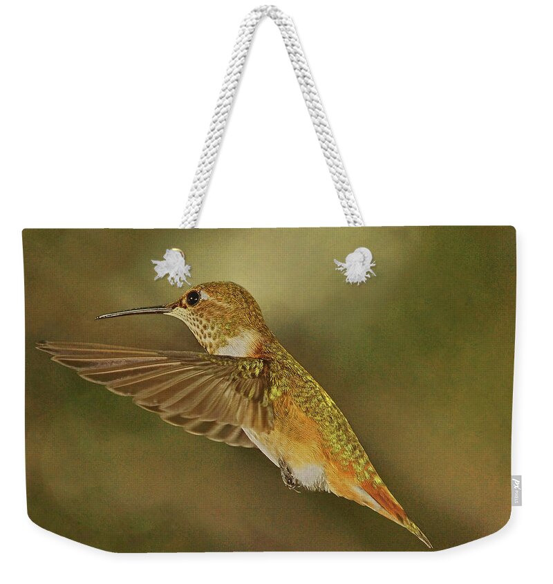 Rufous Hummingbird Weekender Tote Bag featuring the photograph Only for a Moment by Theo O'Connor