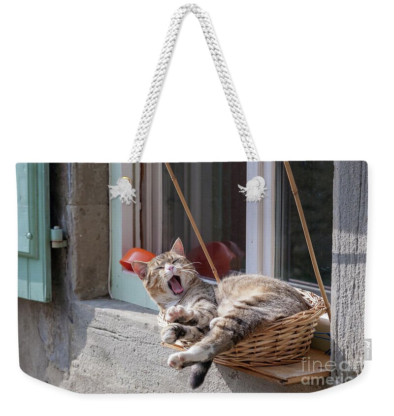 Cat Weekender Tote Bag featuring the photograph Open-Air Lounge by Heiko Koehrer-Wagner