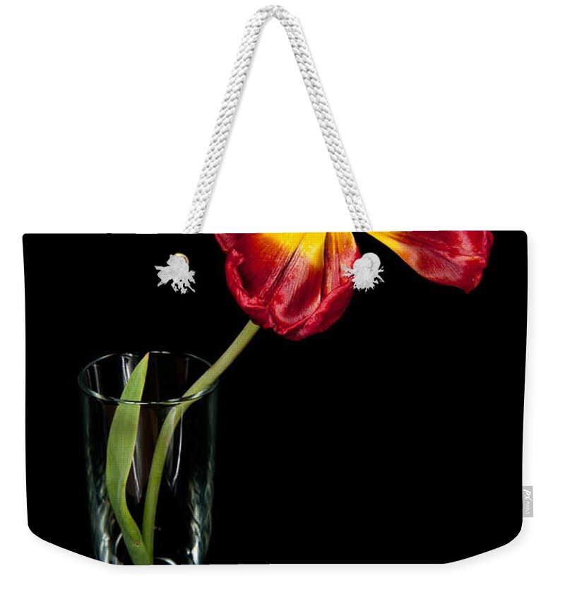 Black Weekender Tote Bag featuring the photograph Open Red Tulip In Vase by Helen Jackson