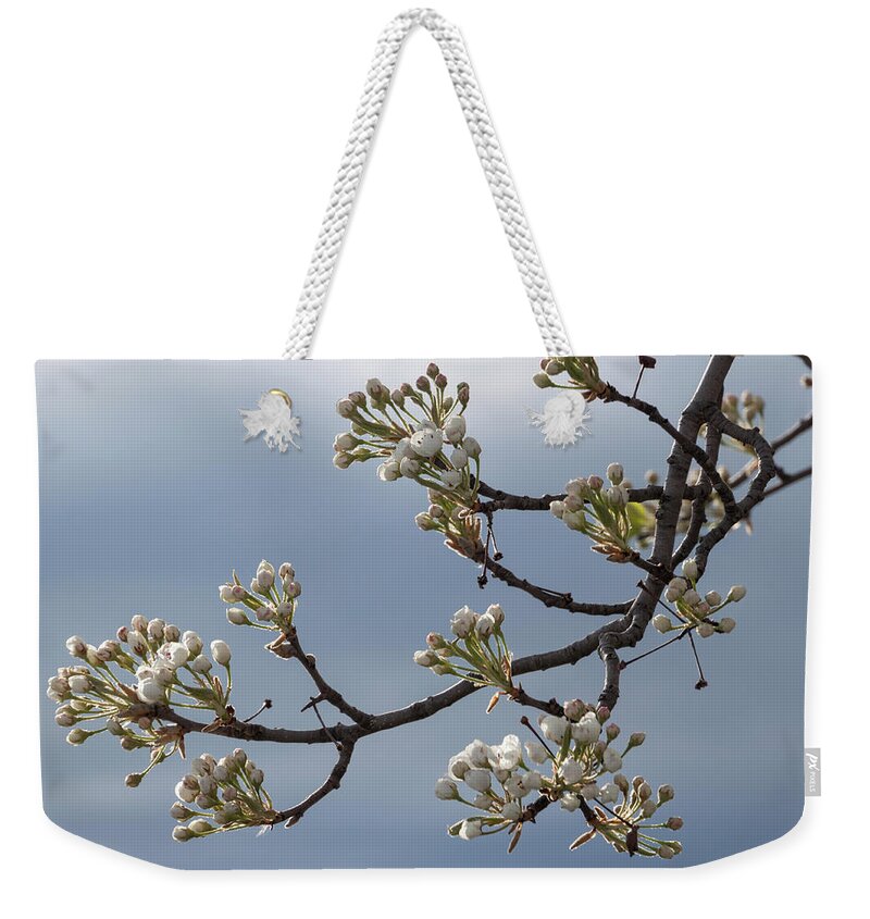 Crabapple Buds Weekender Tote Bag featuring the photograph Opening - by Julie Weber