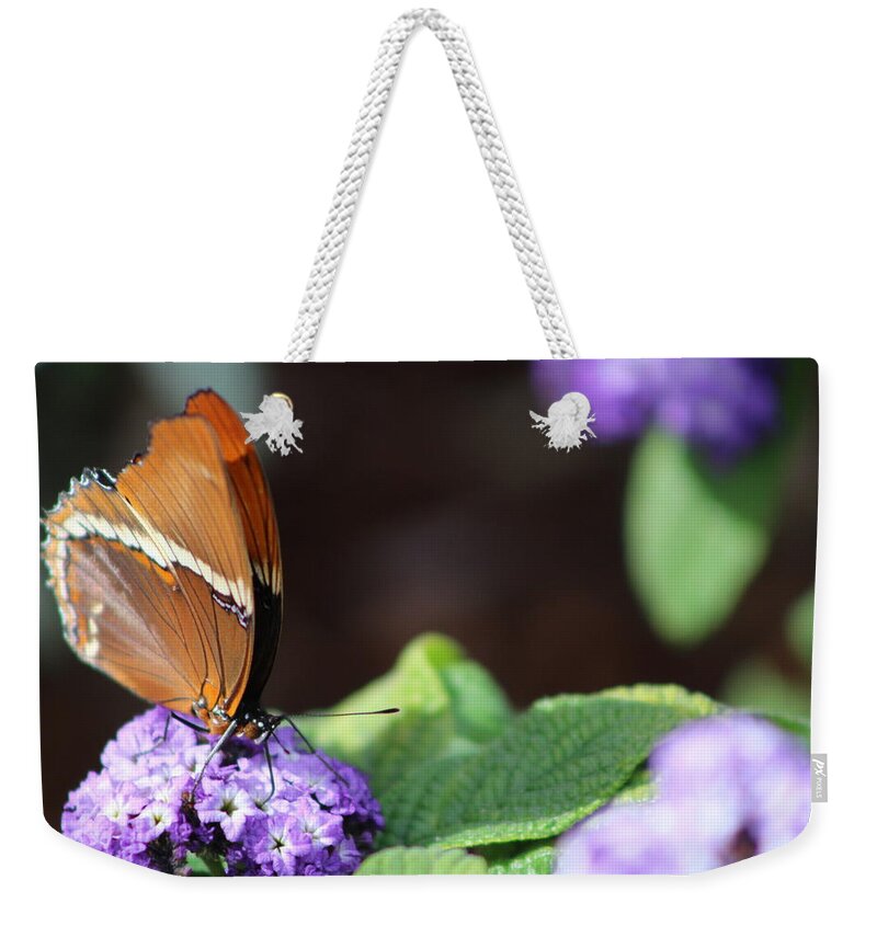 Brown Butterfly Weekender Tote Bag featuring the photograph Orange and Brown Butterfly on Purple by Colleen Cornelius