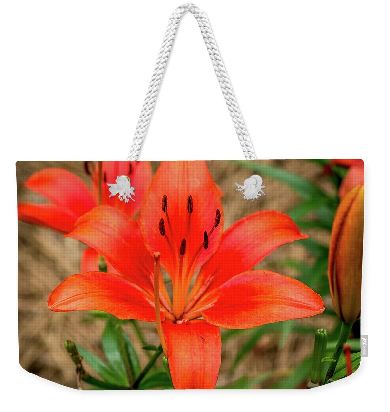 Flower Weekender Tote Bag featuring the digital art Orange and Stamen by Ed Stines