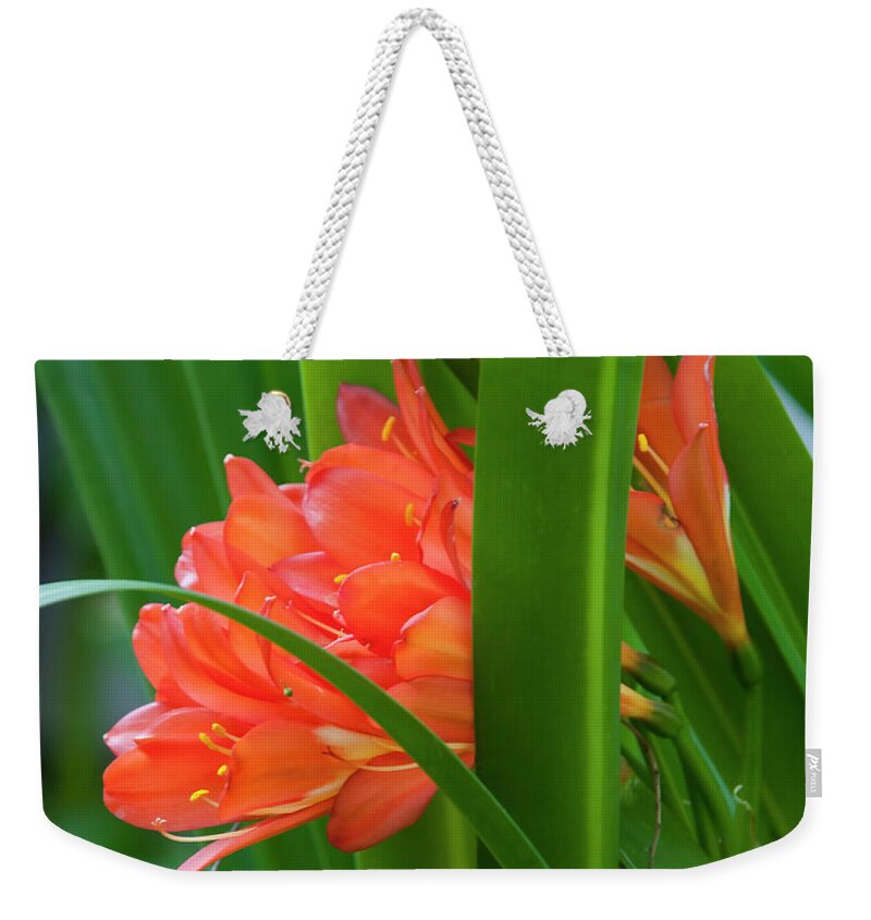 Floral Weekender Tote Bag featuring the photograph Orange Brilliance Peeking Out Between The Leaves by Kirt Tisdale