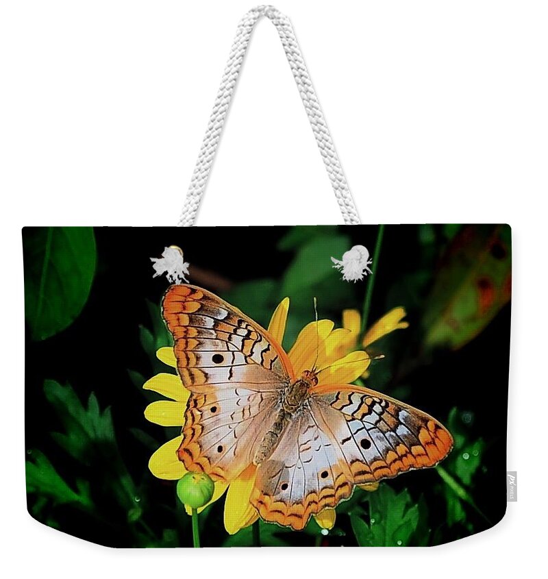 Butterfly Weekender Tote Bag featuring the photograph Butterfly by Buddy Morrison