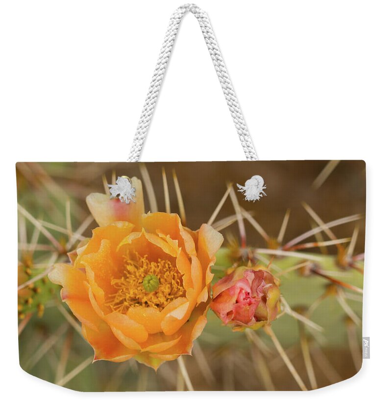 Arizona Weekender Tote Bag featuring the photograph Orange Cactus Bloom Saguaro National Park Arizona by Lawrence S Richardson Jr