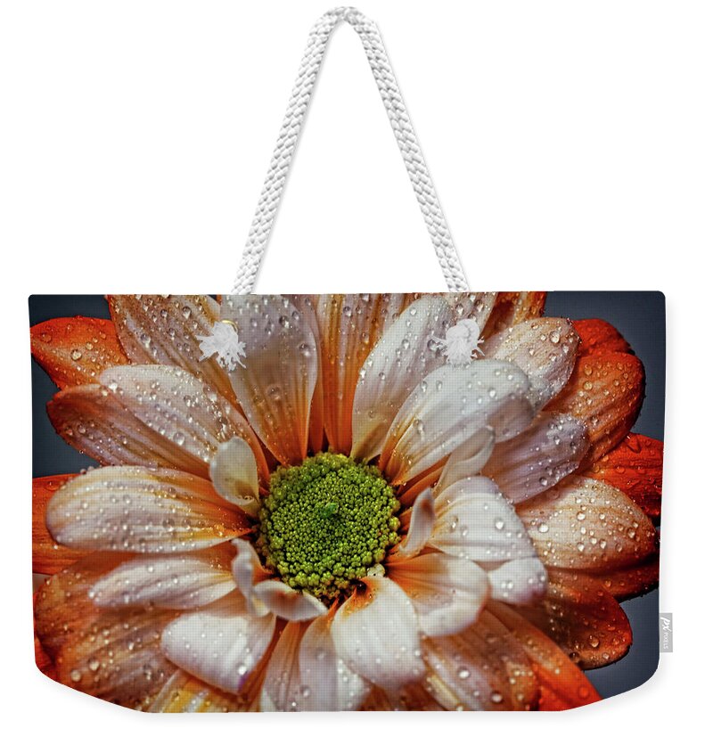 Daisy Weekender Tote Bag featuring the photograph Orange Daisy With Raindrops by Judy Vincent