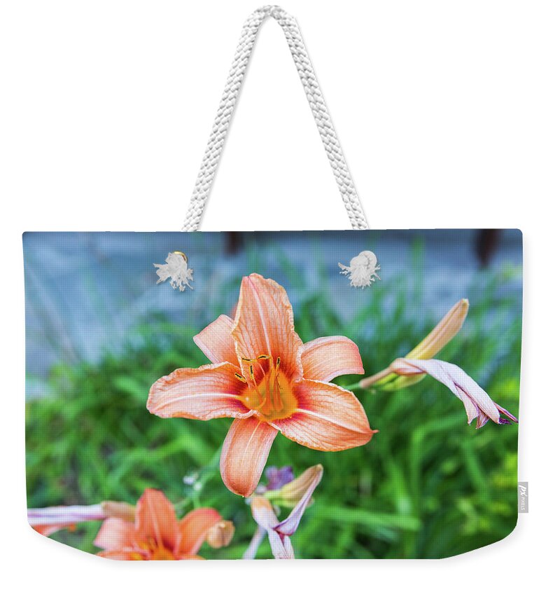 Flower Weekender Tote Bag featuring the photograph Orange Daylily by D K Wall