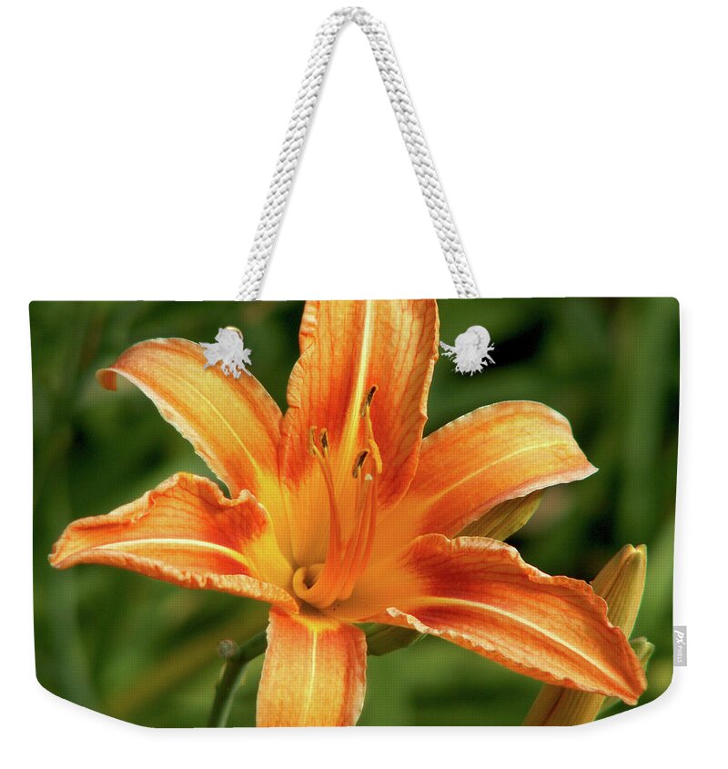 Lily Weekender Tote Bag featuring the photograph Orange Delight by Lisa Blake
