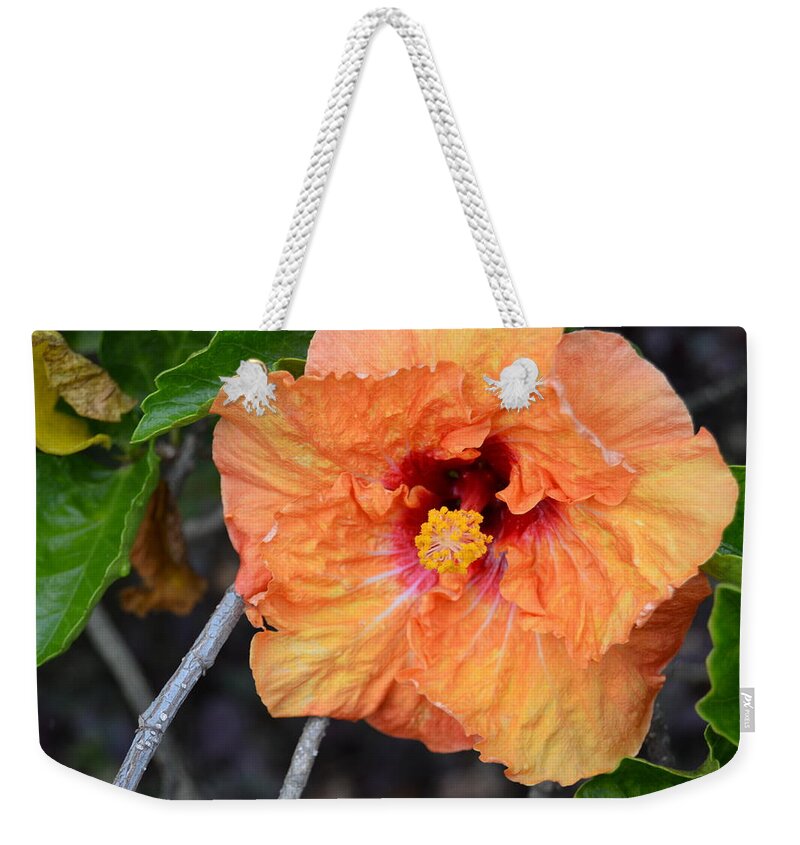 Flower Weekender Tote Bag featuring the photograph Orange Hibiscus with Ruffled Petals by Amy Fose