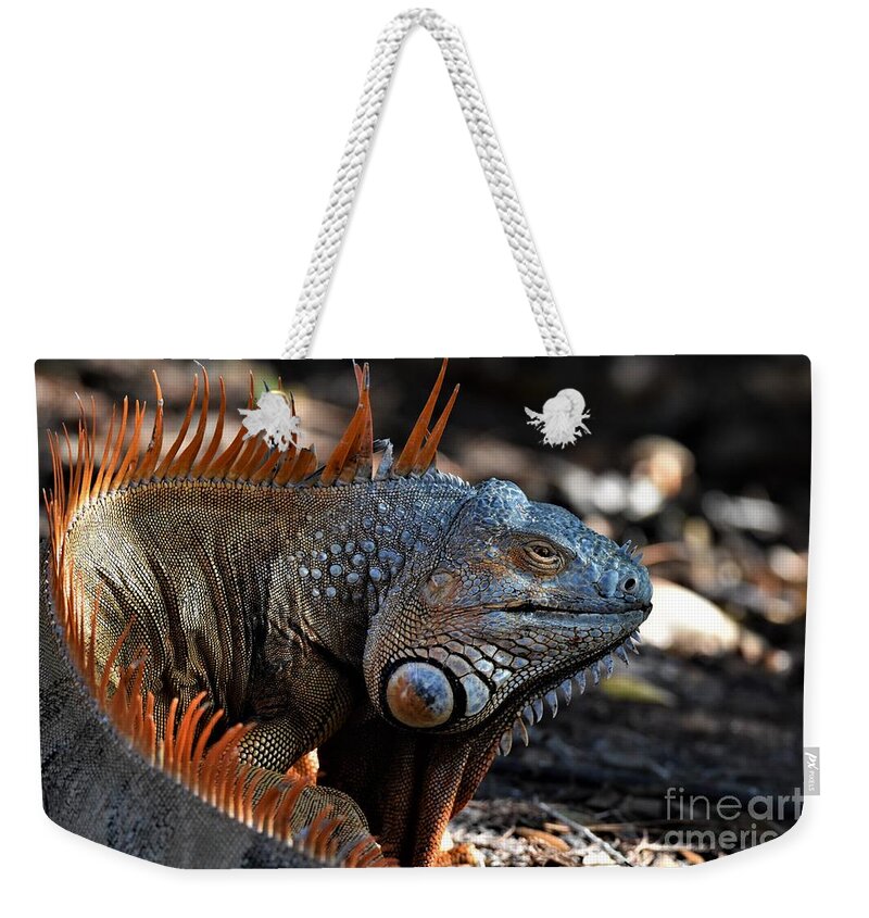 Bull Iguana Weekender Tote Bag featuring the photograph Orange Iguana by Julie Adair