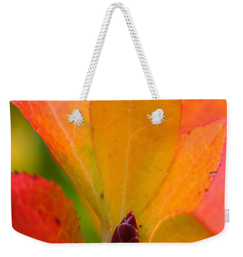 Autumn Weekender Tote Bag featuring the photograph Orange Leaves by Juergen Roth