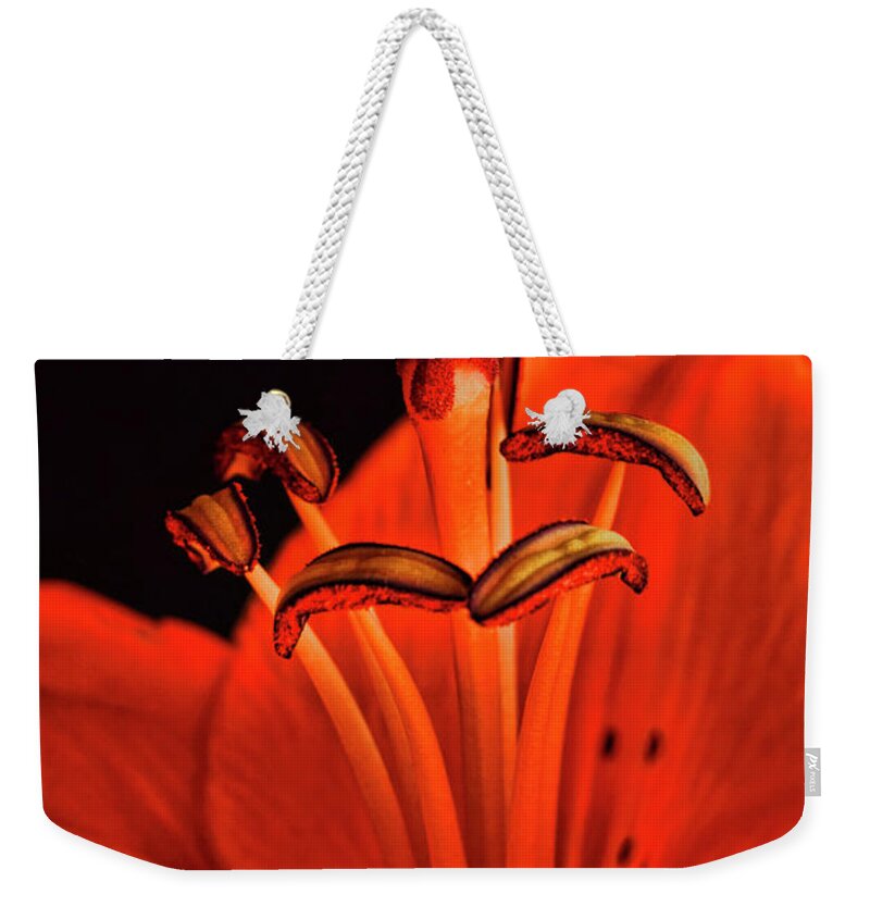 Lilly Weekender Tote Bag featuring the photograph Orange Lilly by Saija Lehtonen
