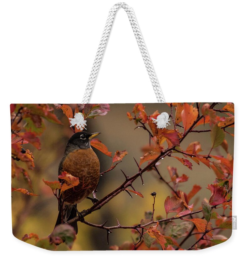 Bird Weekender Tote Bag featuring the photograph Orange Medley by Jody Partin