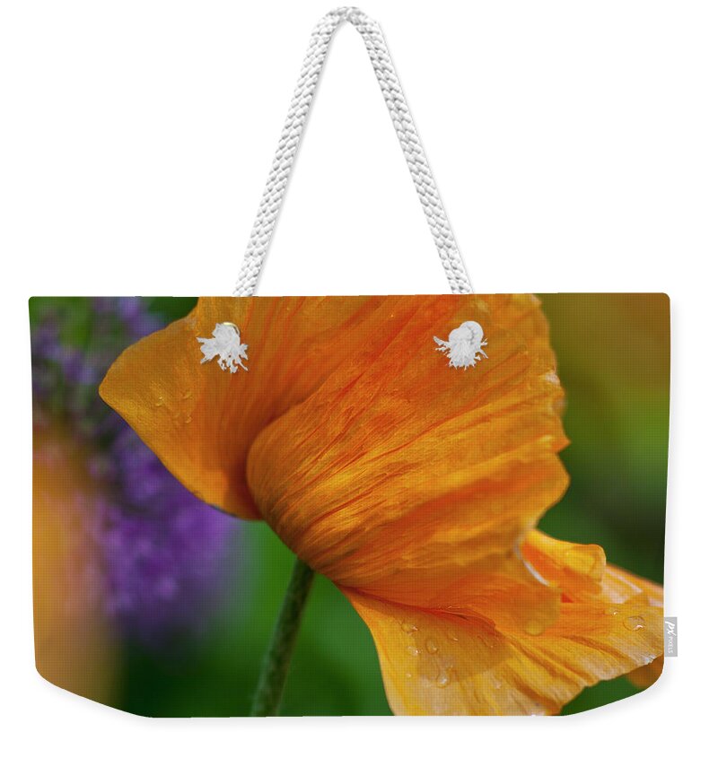 Poppy Weekender Tote Bag featuring the photograph Orange Poppy Flower by Heiko Koehrer-Wagner