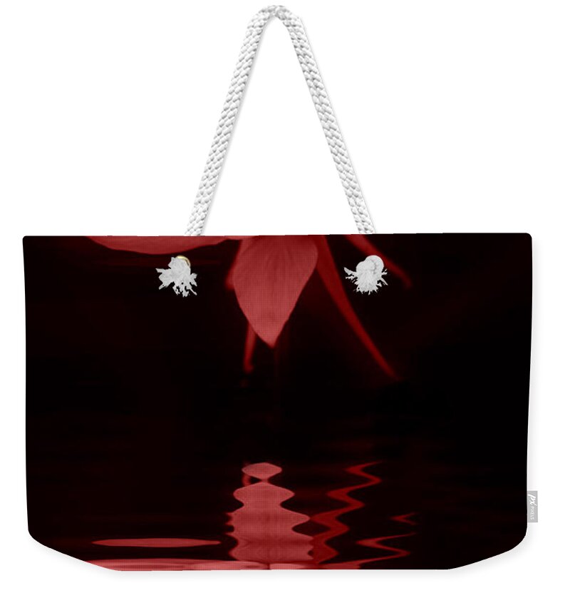 Flower Weekender Tote Bag featuring the photograph Orange Reflection by Barbara S Nickerson