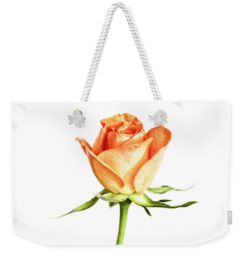 Rose Weekender Tote Bag featuring the photograph Orange Rose by Tanya C Smith