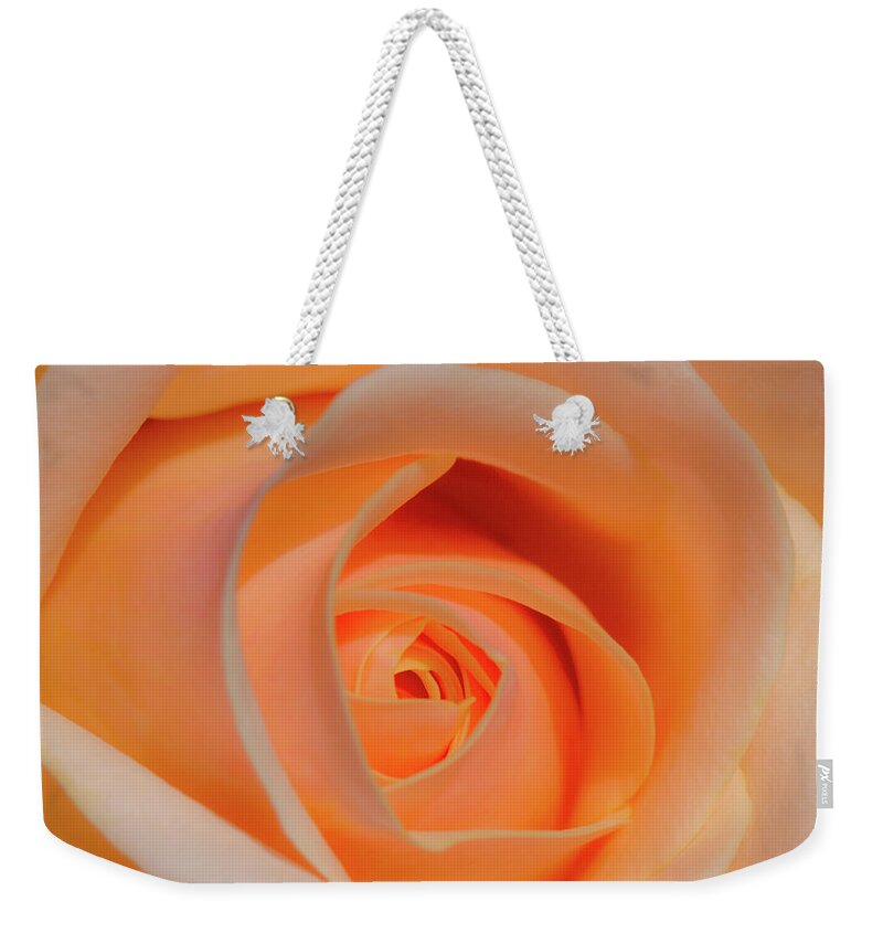 Rose Weekender Tote Bag featuring the photograph Orange Rose by David Freuthal