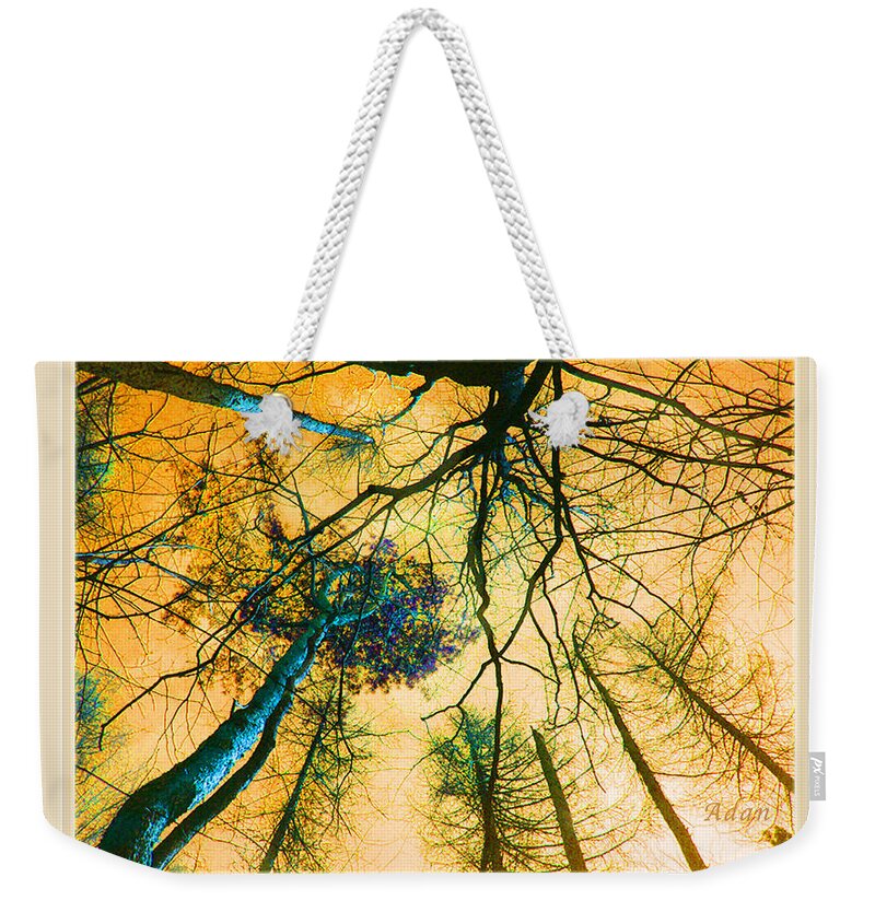 Tree Tops From Ground Weekender Tote Bag featuring the photograph Orange Sky Tree Tops by Felipe Adan Lerma