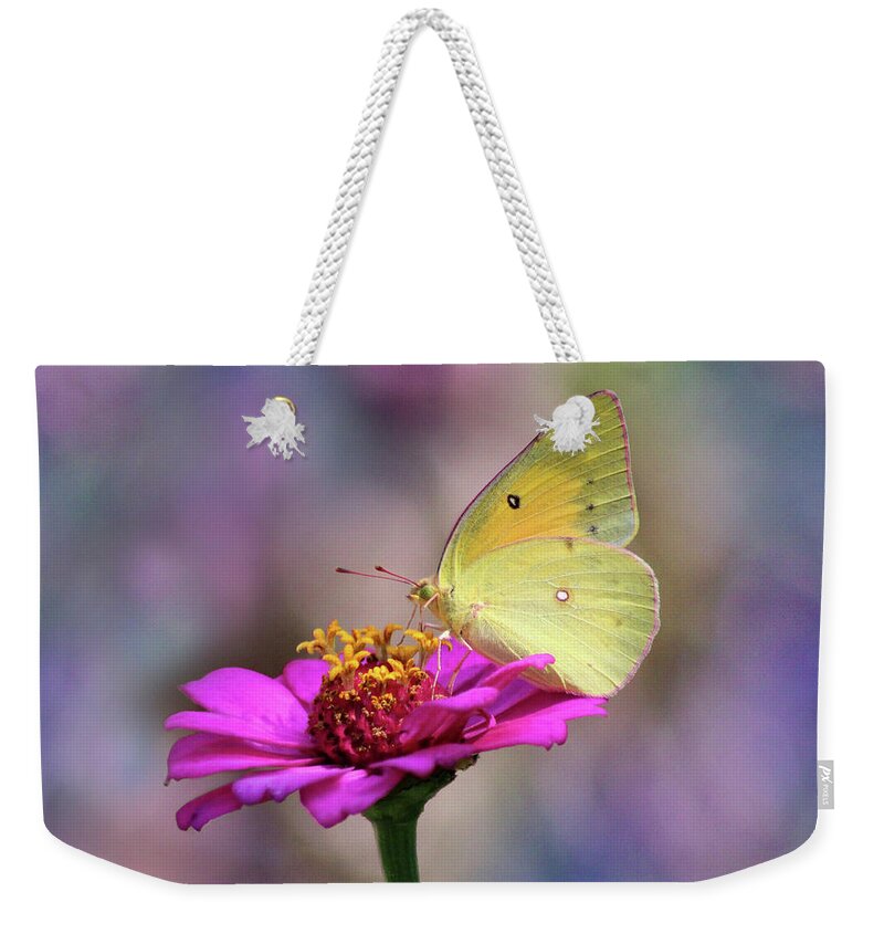 Butterfly Weekender Tote Bag featuring the photograph Orange Sulphur Butterfly Pastels by Karen Adams