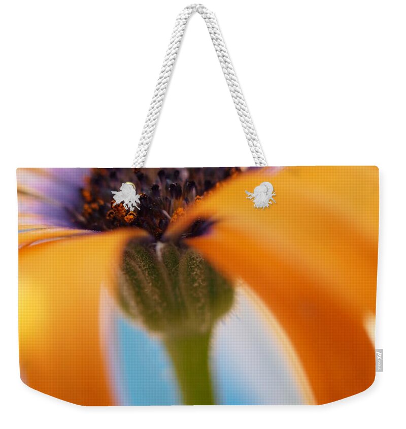 Flowers Weekender Tote Bag featuring the photograph Orange Symphony Blues by Dorothy Lee