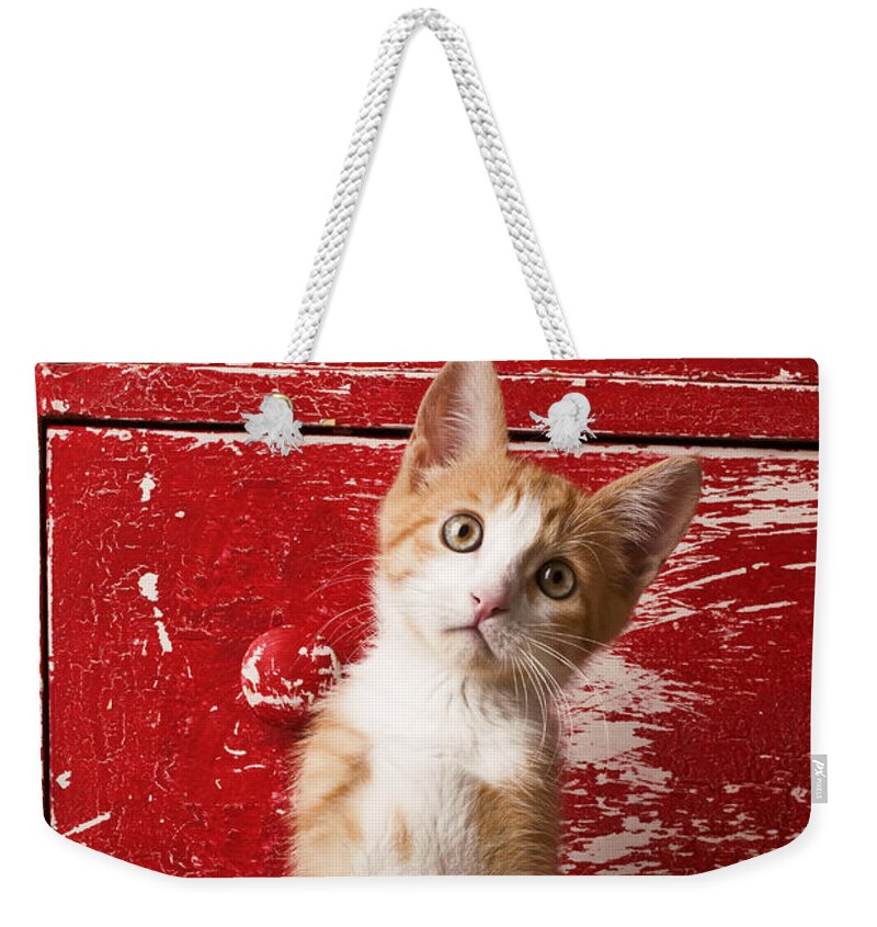 Kitten Weekender Tote Bag featuring the photograph Orange tabby kitten in red drawer by Garry Gay