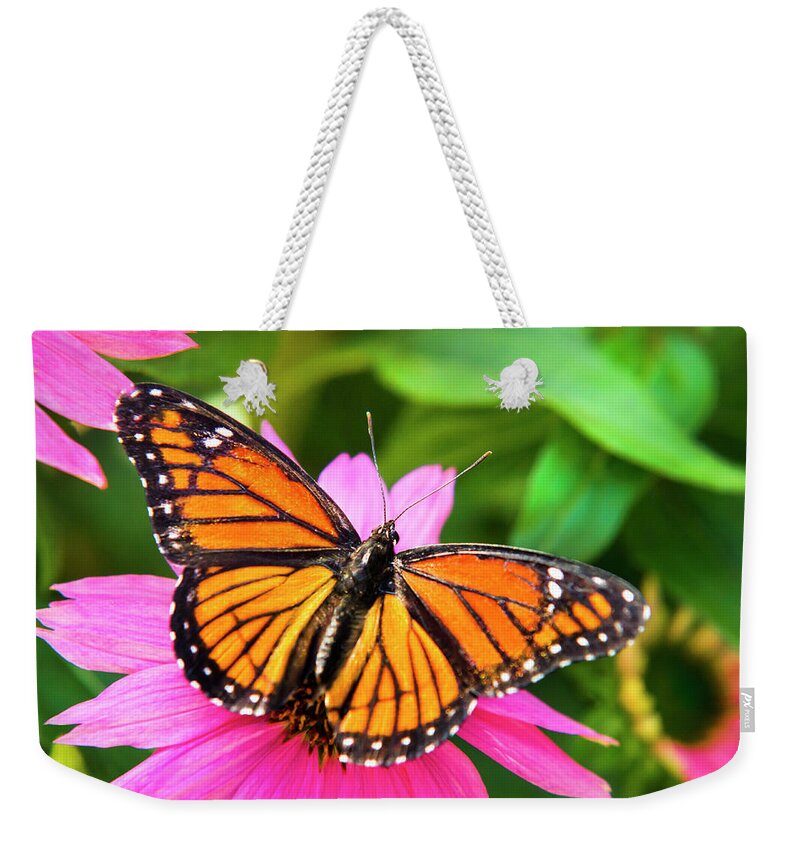 Butterflies Weekender Tote Bag featuring the photograph Orange Viceroy Butterfly by Christina Rollo