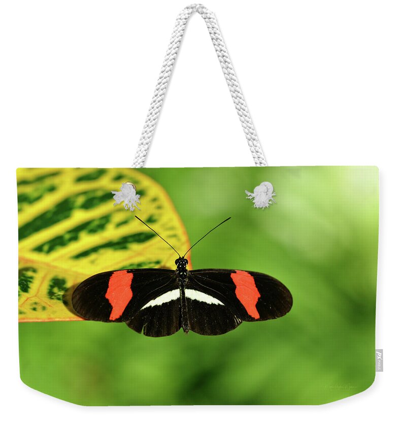 Butterfly Weekender Tote Bag featuring the photograph Orange, White and Black Butterfly by Maria Angelica Maira