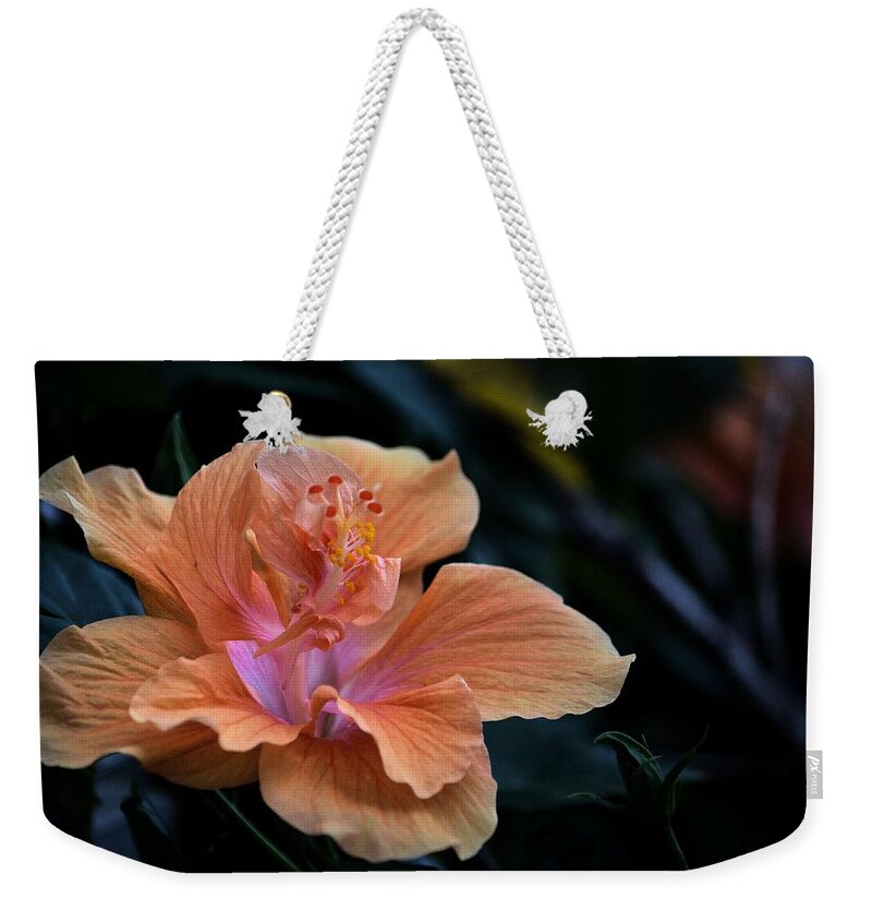 Flowers Weekender Tote Bag featuring the photograph Orangecicle by Robert McCubbin