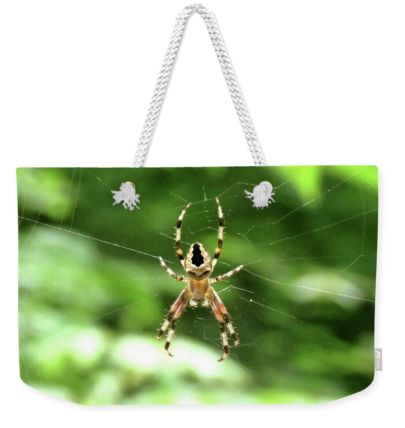 Spider Weekender Tote Bag featuring the photograph Orb Weaver by Azthet Photography