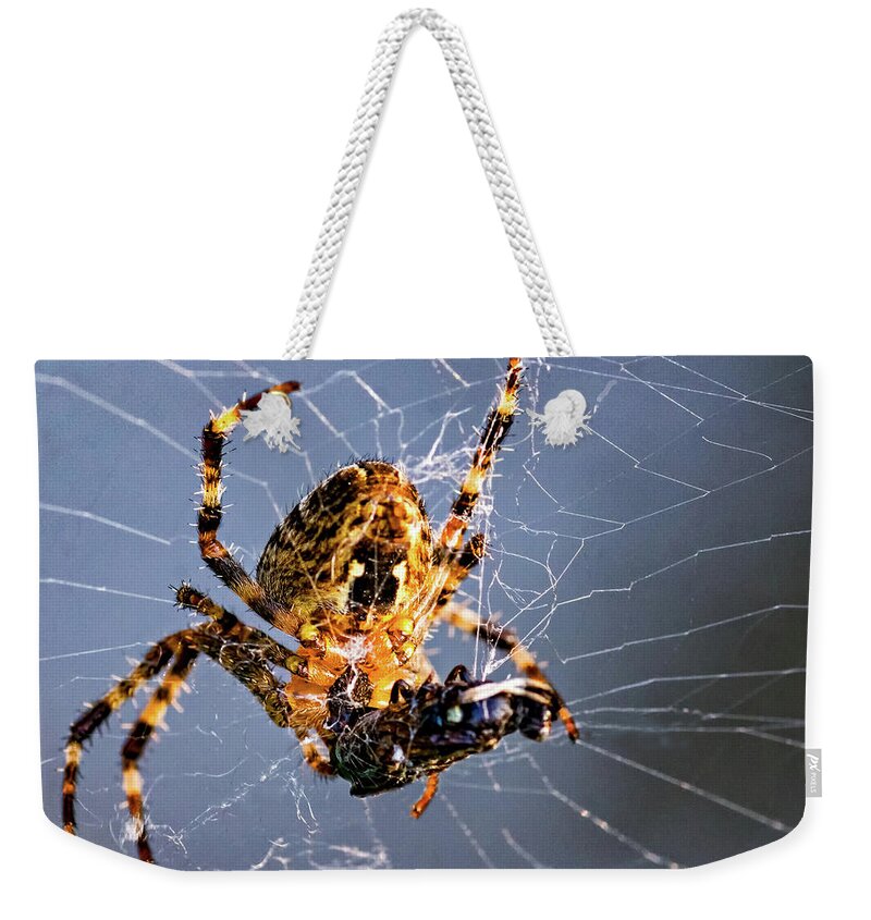 Steve Harrington Weekender Tote Bag featuring the photograph Orb-weaver spider - Dinnertime 2 by Steve Harrington