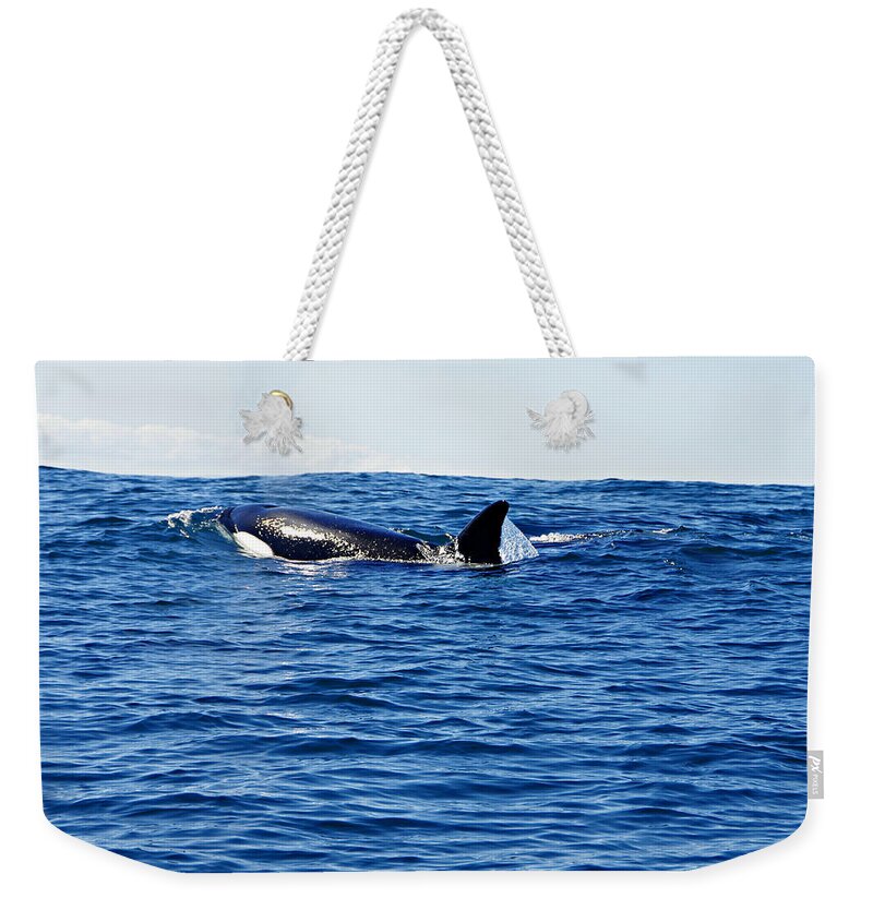 Killer Whale Weekender Tote Bag featuring the photograph Orca by Marilyn Wilson