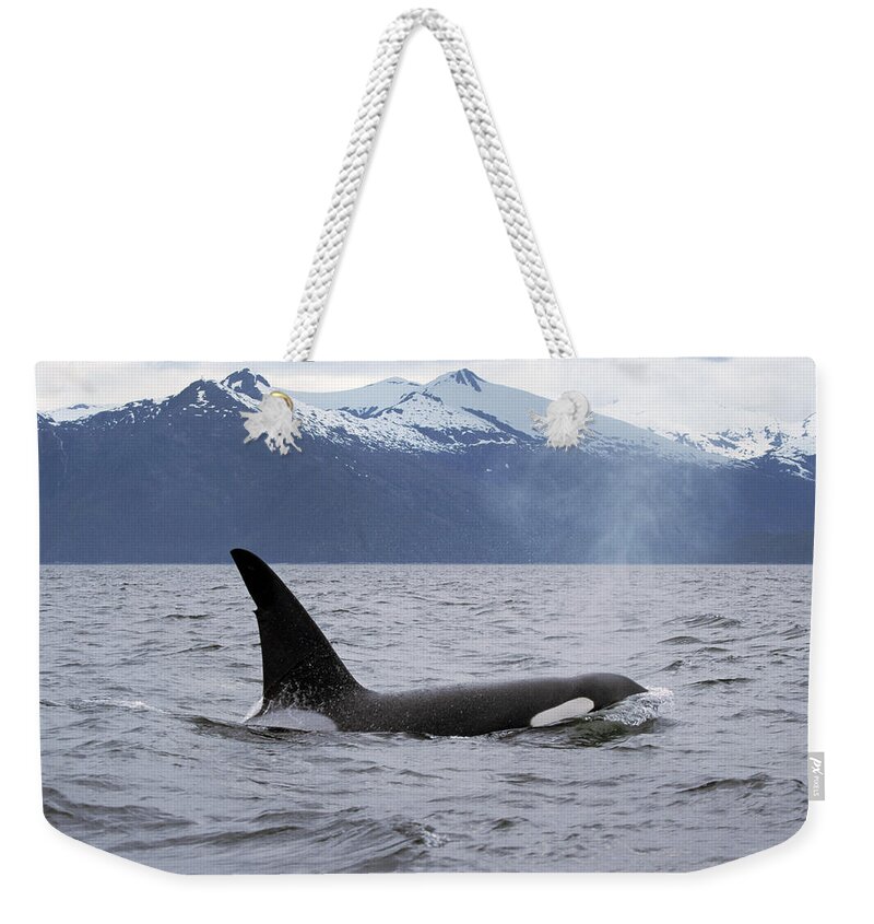 00196735 Weekender Tote Bag featuring the photograph Orca in Inside Passage by Konrad Wothe