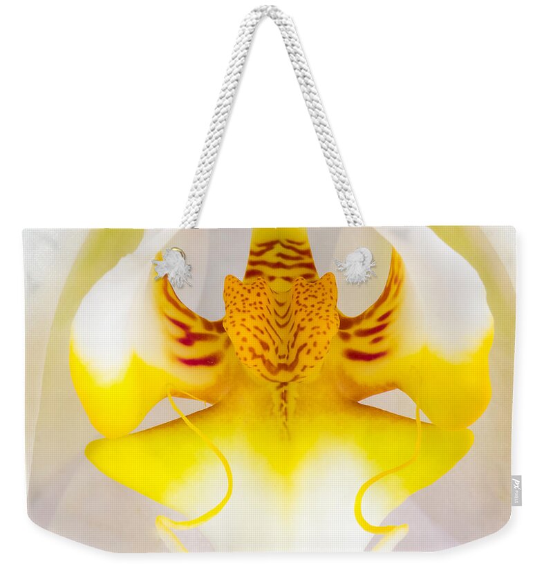 Orchid Weekender Tote Bag featuring the photograph Orchid 1 by Patricia Schaefer