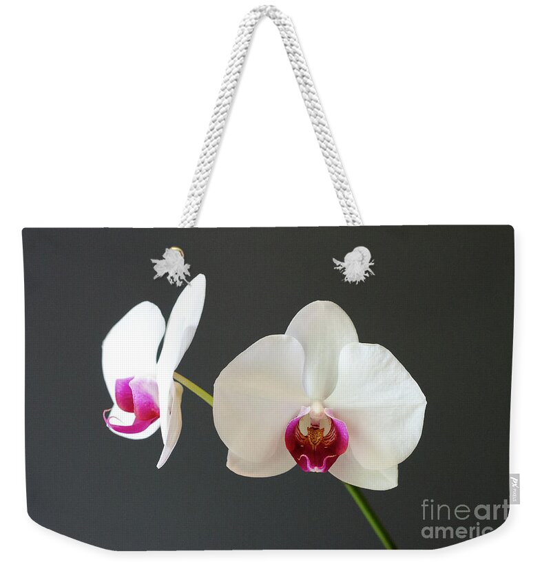 Orchid Weekender Tote Bag featuring the photograph Orchid Blooms by Laurel Best